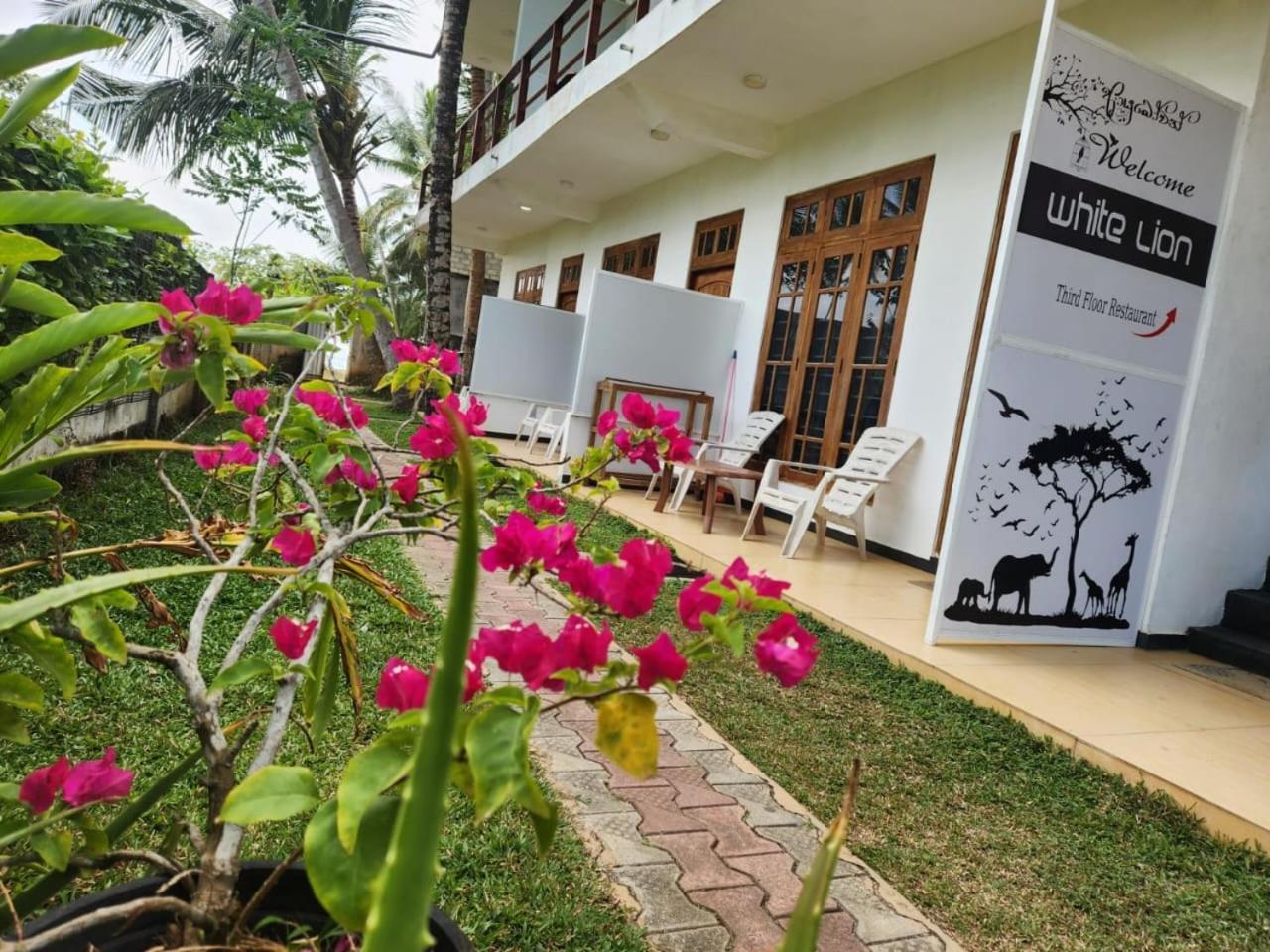 White Lion Paradise Dikwella Batigama Экстерьер фото